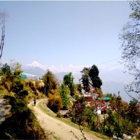 Village Sarmoli (Uttarakhand) situated amidst the backdrop of the mighty Himalayas